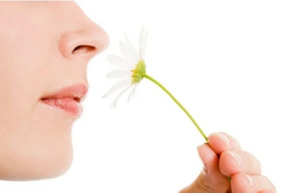 Обоняние это важно. 