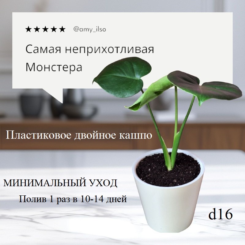 Фото автора и ИИ.