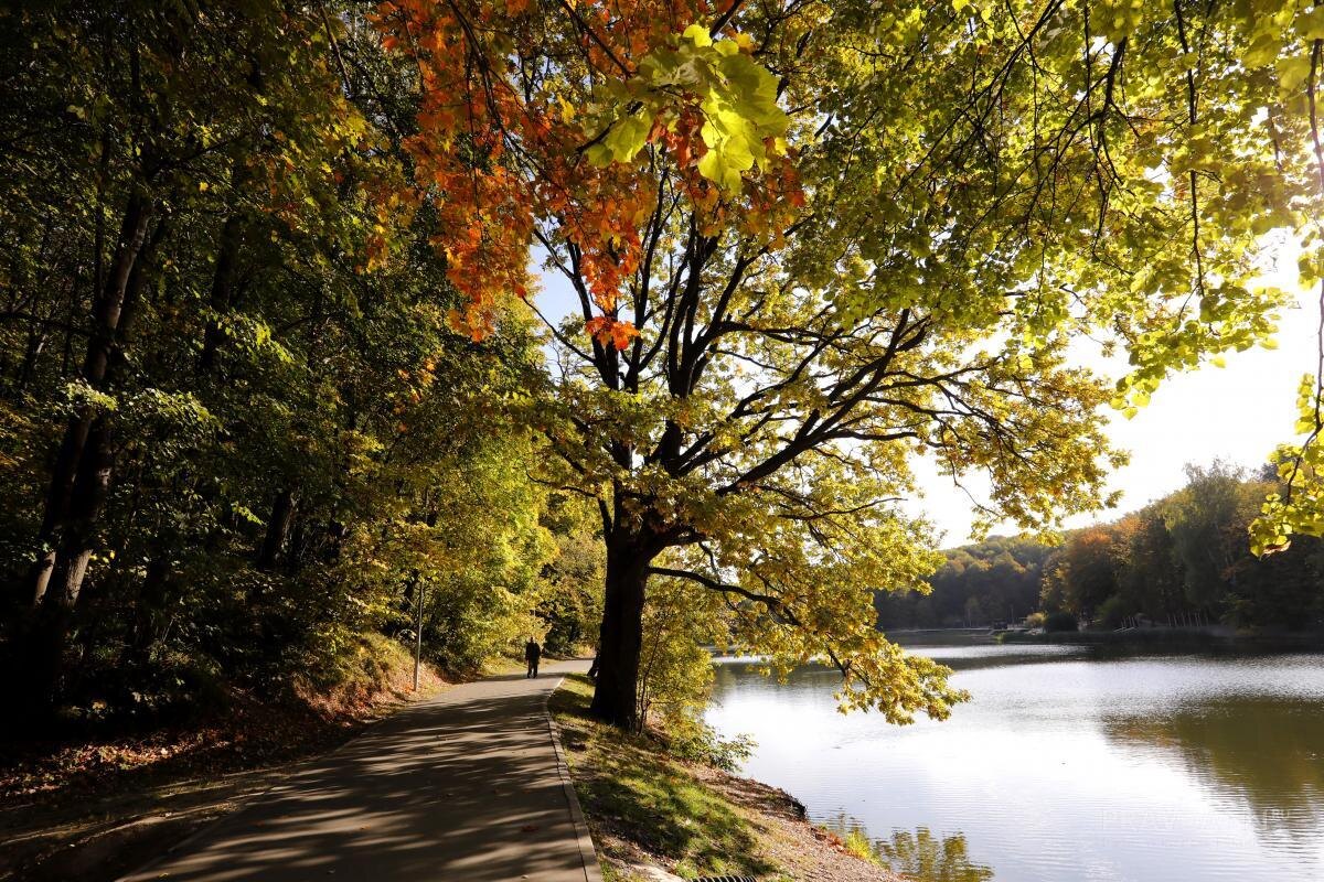    Ясная погода – к теплой зиме