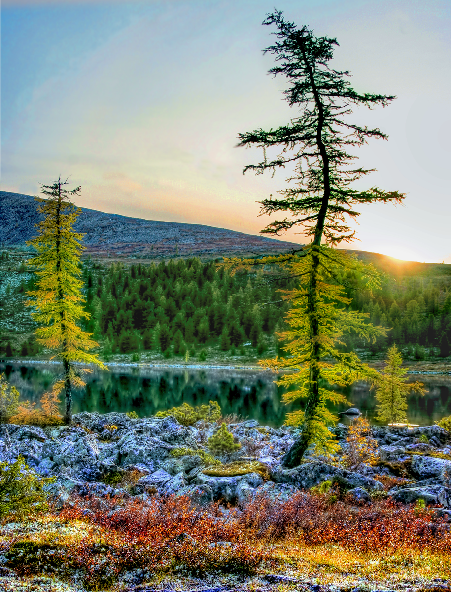 Фотография, стихотворение Василия Глуцкого
