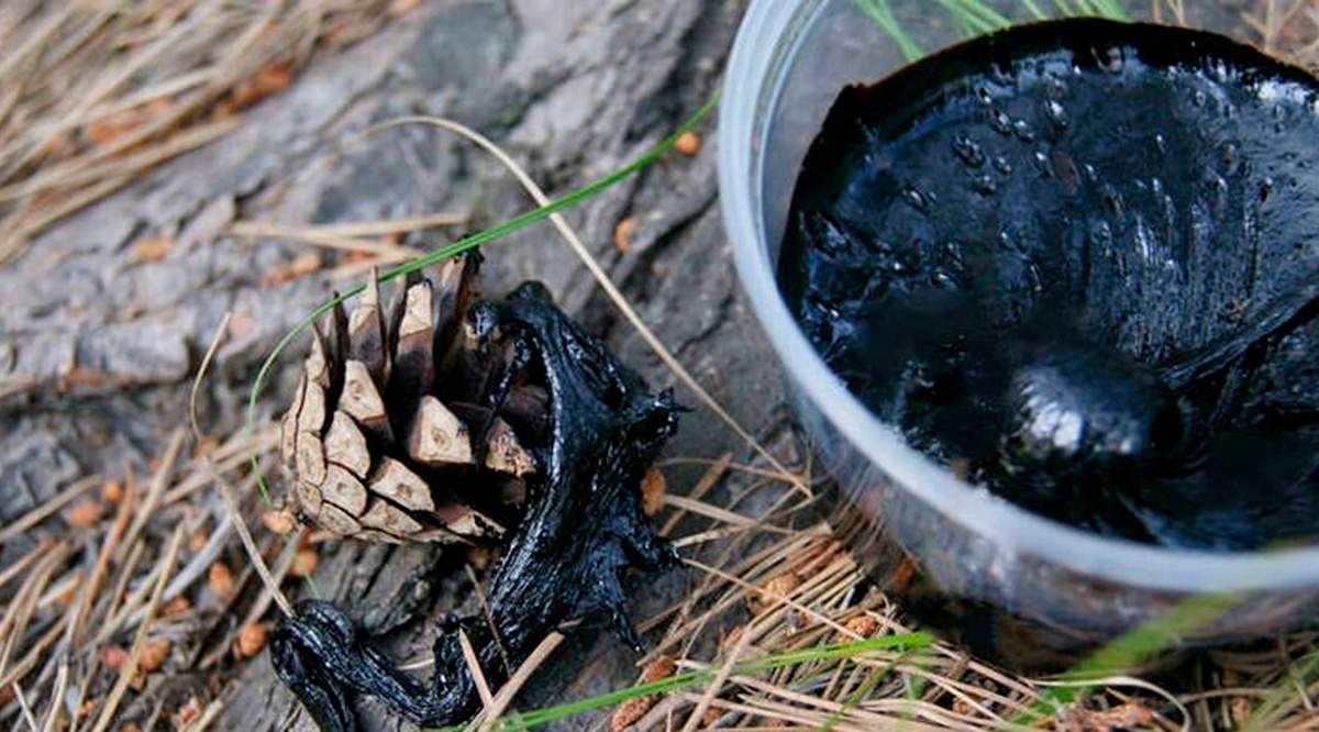 Мумие: «горная смола» или «горный воск»