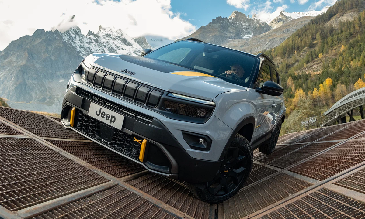 Особенности внешнего вида 