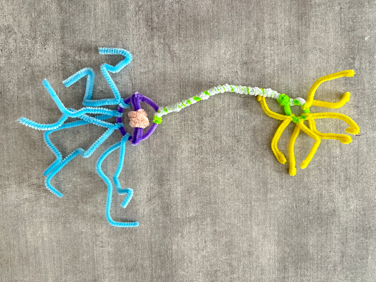 Нейрон из синельной проволоки