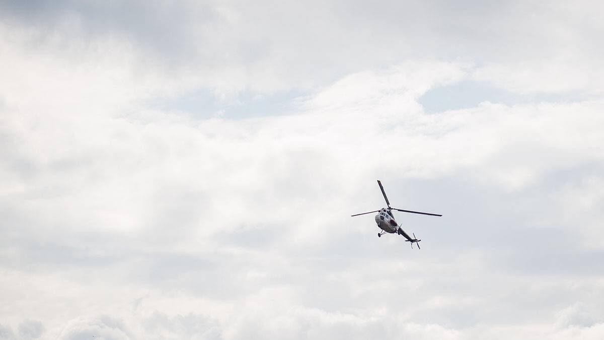    Фото: shutterstock