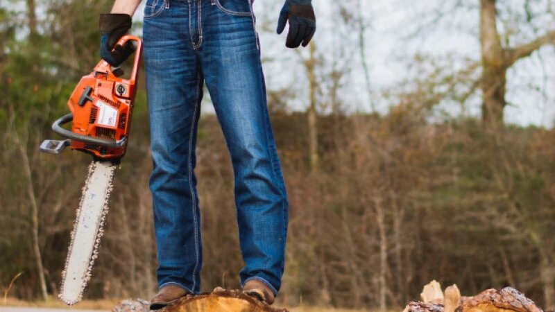     Бензопила. CC0