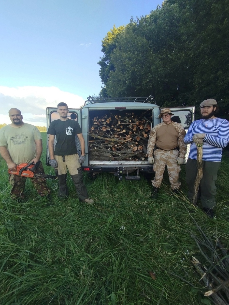 Заготовка дров