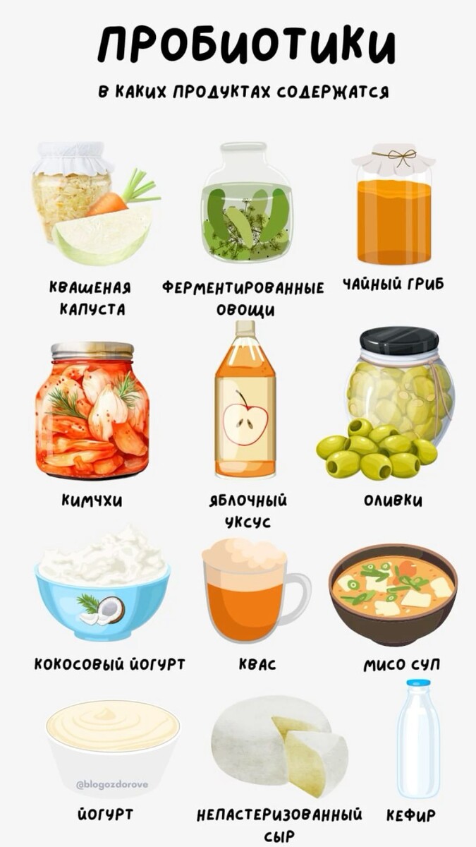 Продукты, в которых содержатся пробиотики