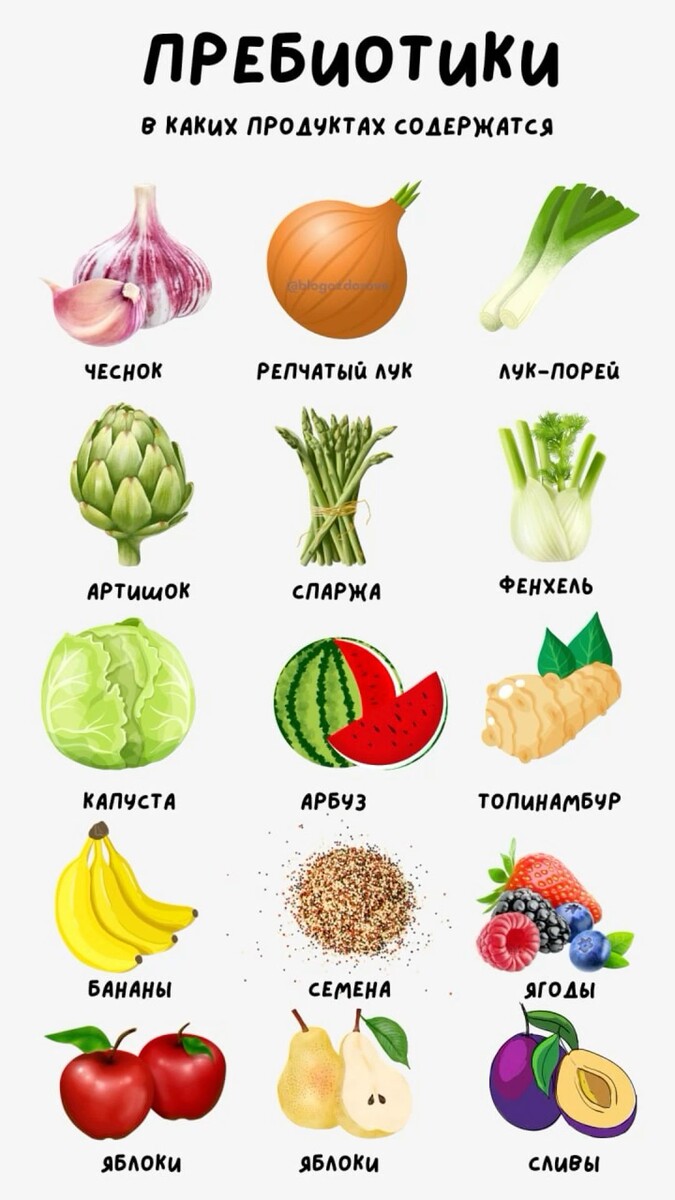 Продукты, в которых содержатся пребиотики