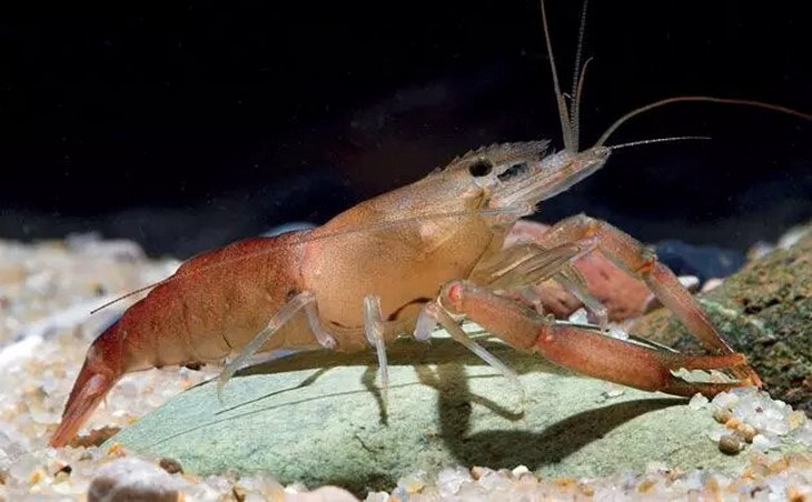 Фото: Соцсети