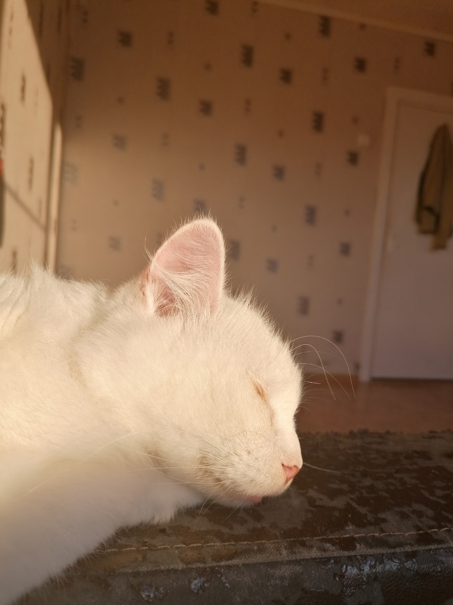 Архивное фото