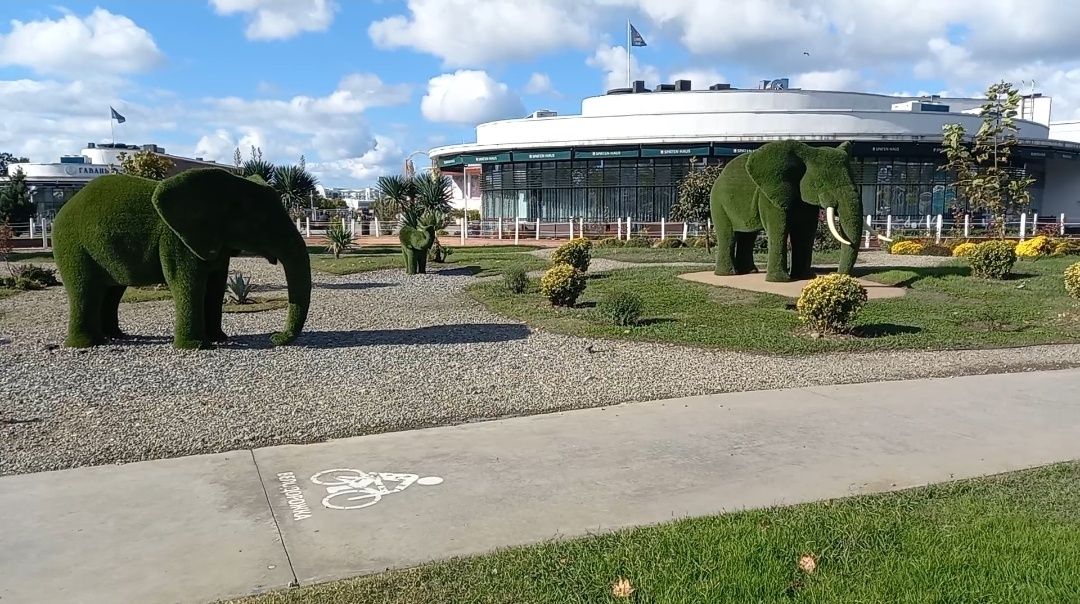 Семья слоников в Сочи Парк Отеле в октябре 2024 года