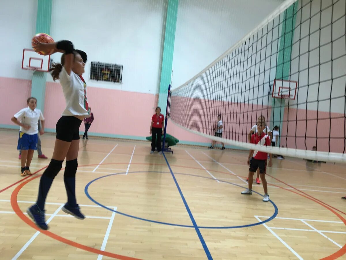 Фото из открытого источника 