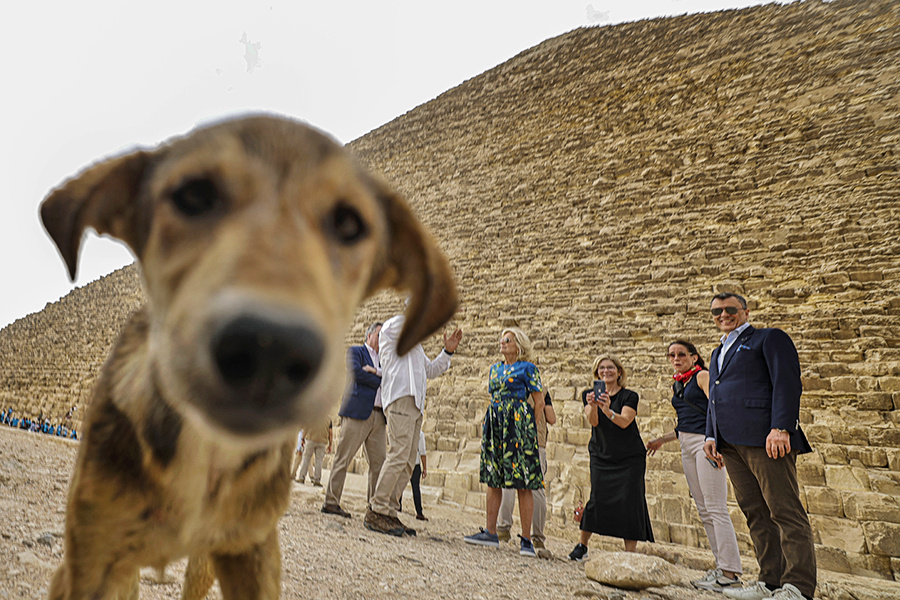    © KHALED DESOUKI/EPA/ТАСС