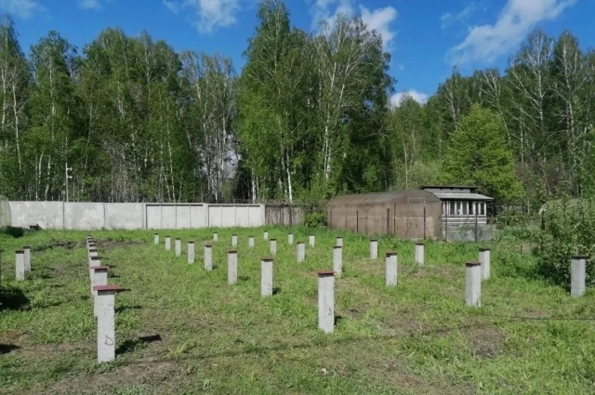    Главу стройфирмы подозревают в хищении 25 млн рублей в Новосибирске