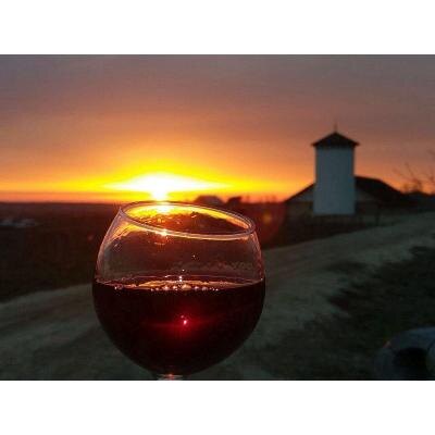 АРТУР ЧЕСТНО, ВО ВСЕХ ПОДРОБНОСТЯХ РАССКАЗАЛ О МОТИВАХ ОБРАЩЕНИЯ к работавшему в пограничной зоне другу Кайцуни, после чего директор велел положить на стол  служебный пропуск и объявил, что на телеграфе он больше не работает.