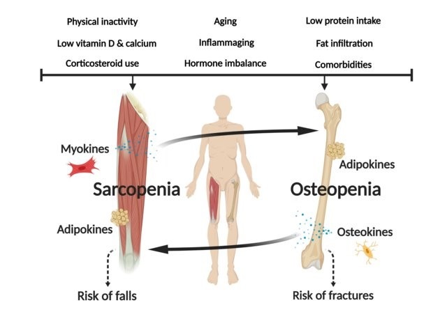 Иллюстрация из открытых зарубежных источников.