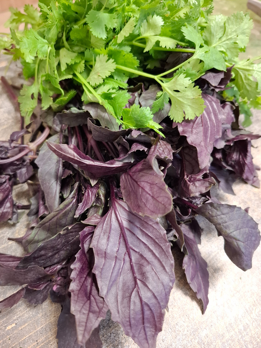 Фото автора Реган и кинза