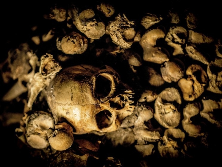 Фото: unsplash.com