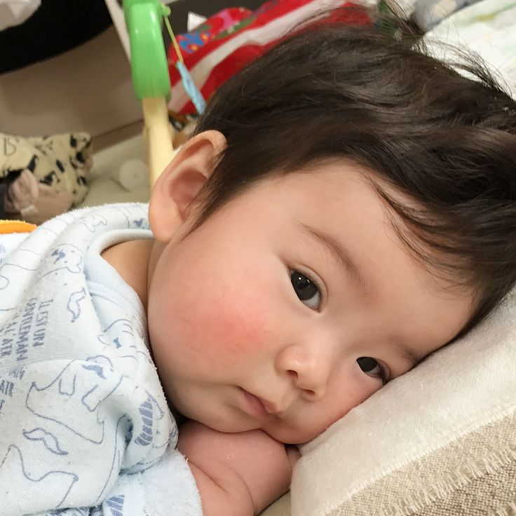 Фото Яндекс картинки.