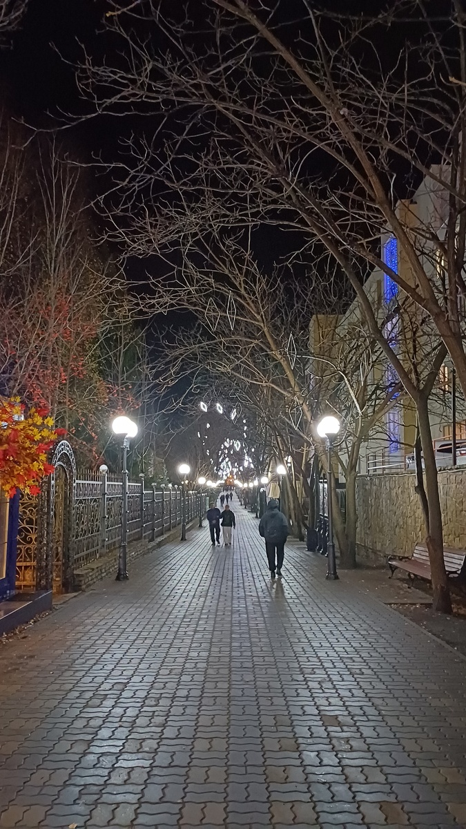 Вечерняя Белокуриха. Фото автора.