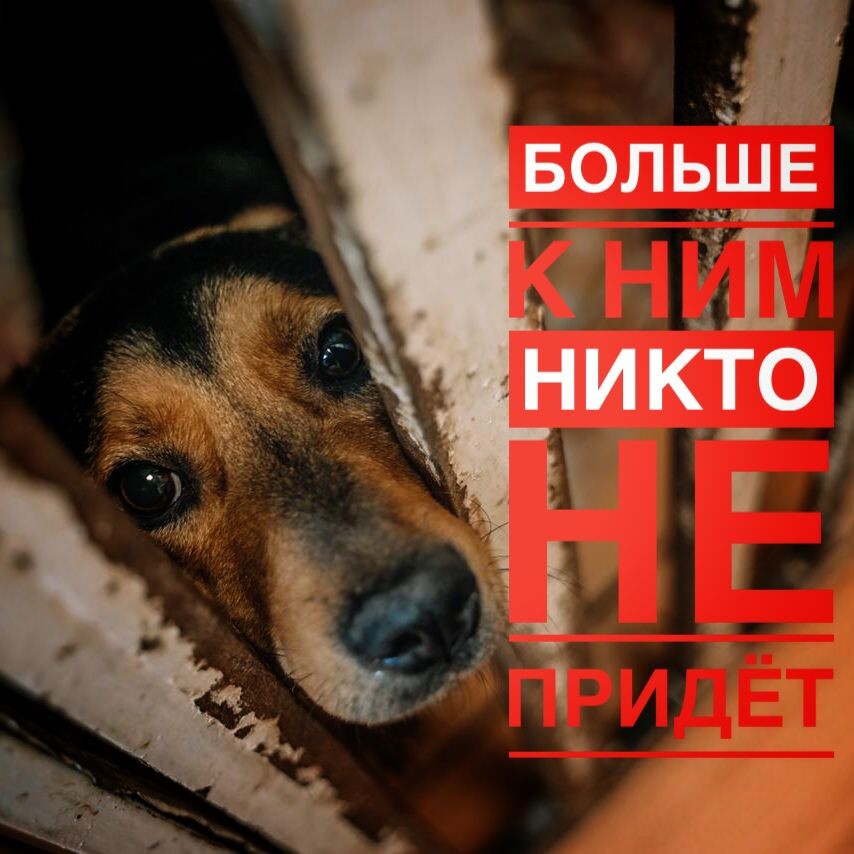 ВСЕ! День стольника, БЕЗ ВАС ВСЕ ПРОПАЛО! 