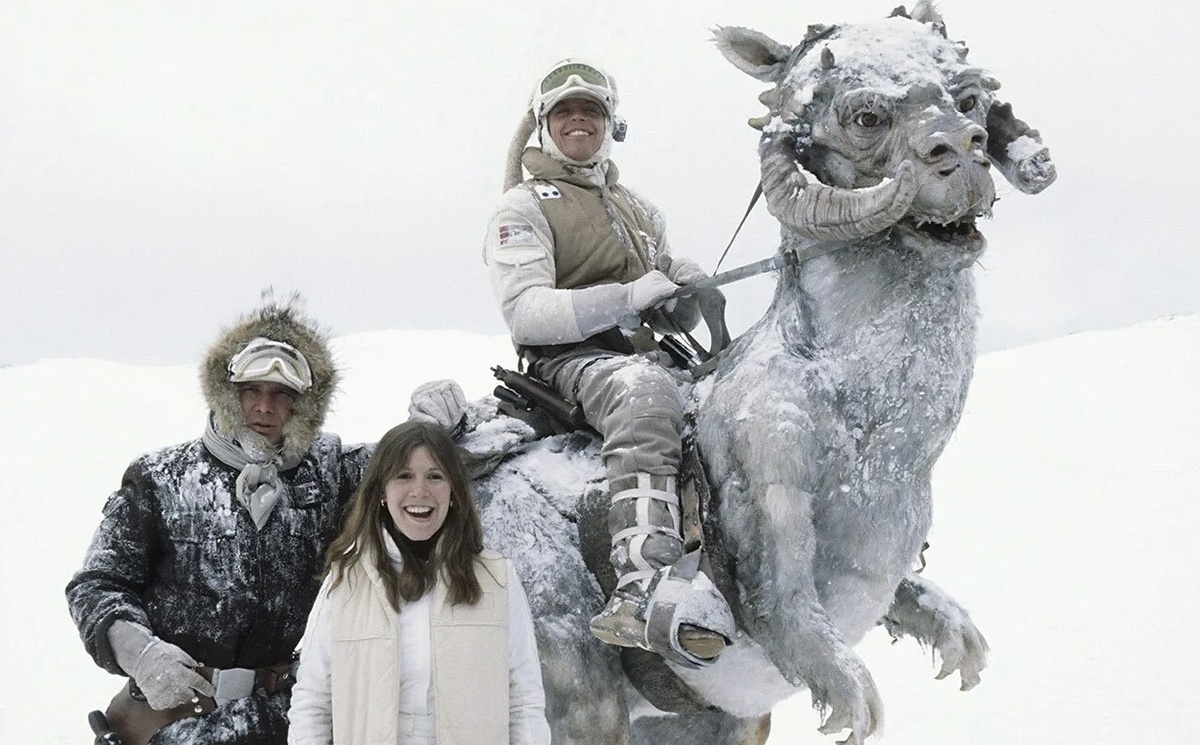 За кадром - Лея вроде довольна. 