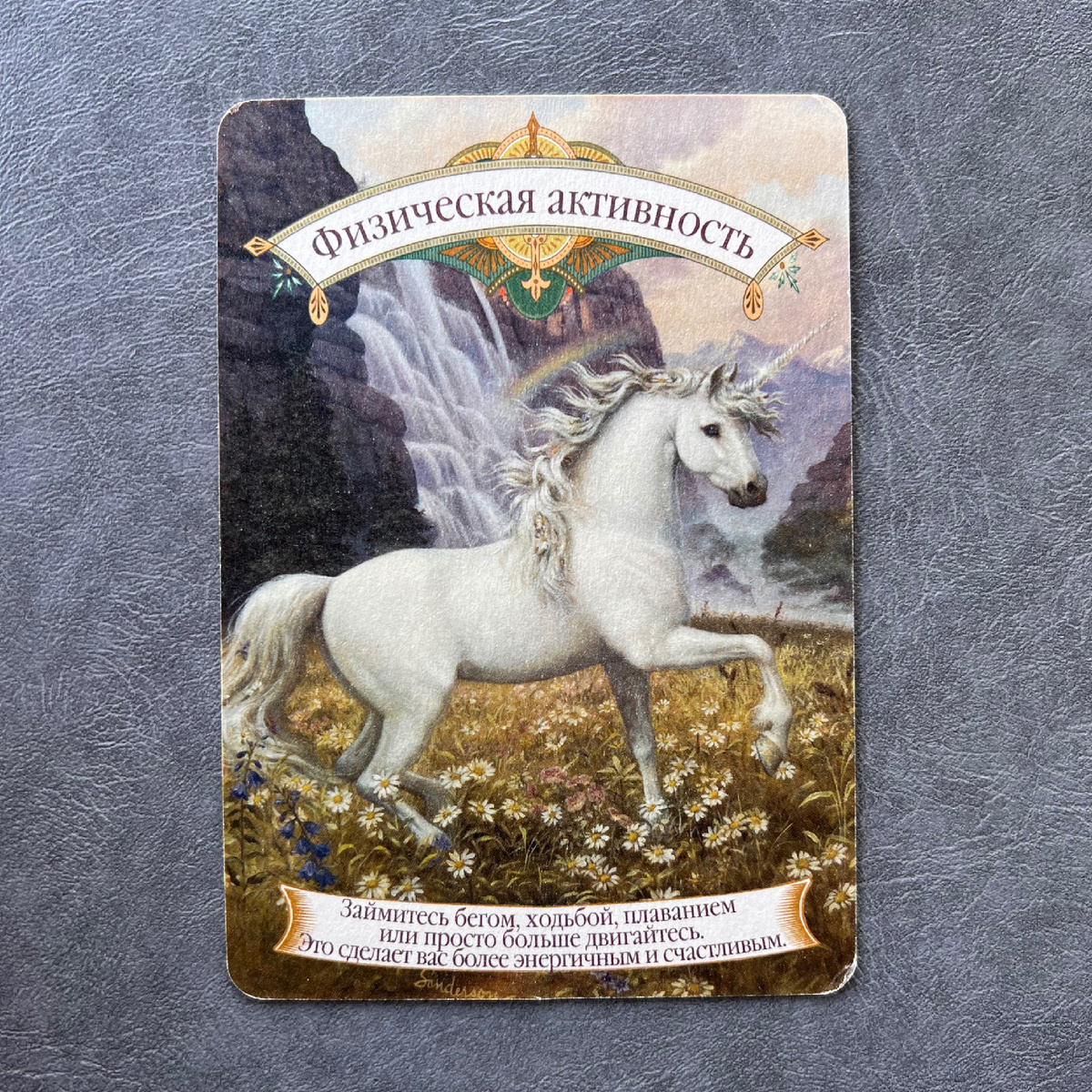 1 карта - Физическая активность 