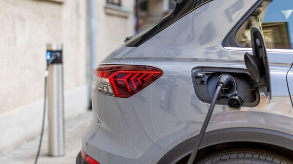    © Photo : Facebook (запрещена в РФ) / Aplinkos ministerija