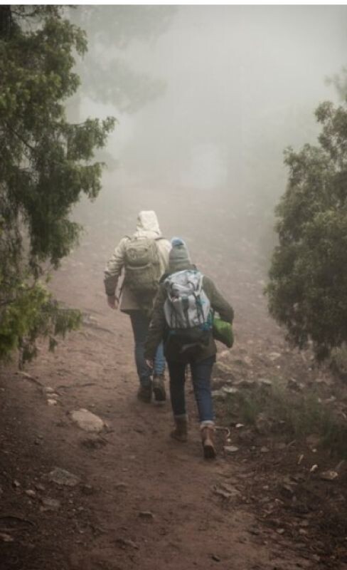 Фото: ru.freepik.com 