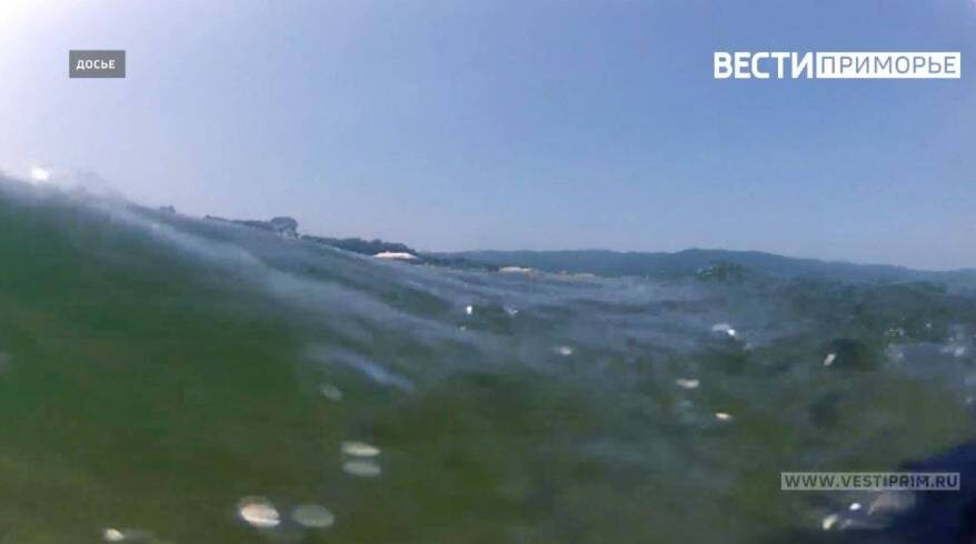 Пляж шамора владивосток. Бухта шамора приморский край. Шамора утонул. Ларга на шаморе. Вести приморье 2002.