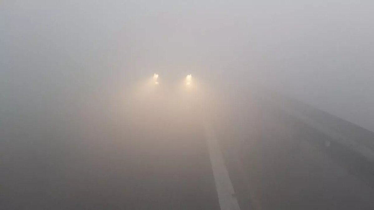     Источник: 1MI