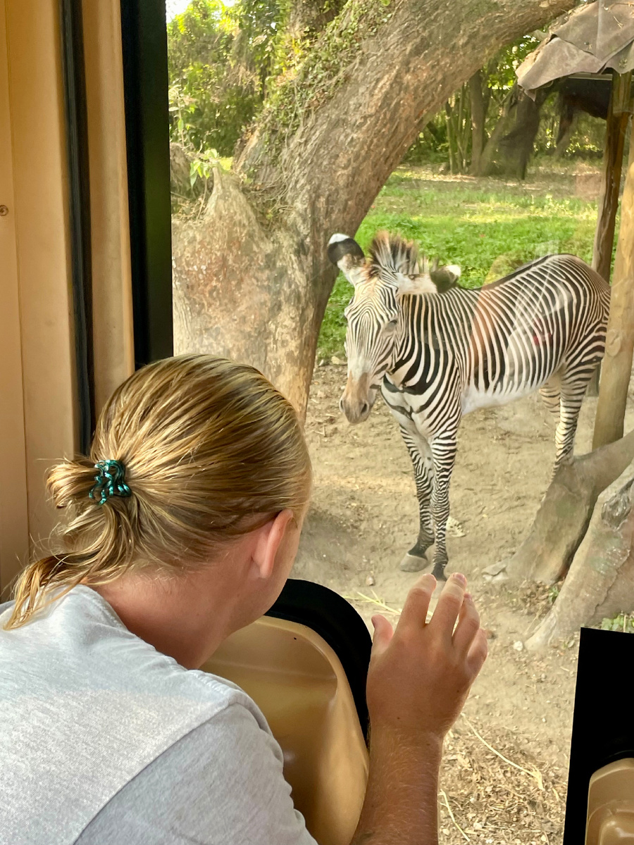 Почти на многих животных можно посмотреть с такого близкого расстояния. 