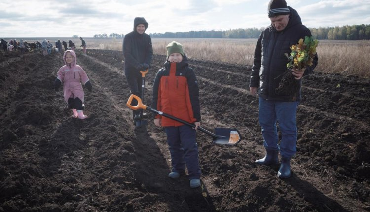 Источник: https://nia.eco/2024/10/21/92141/