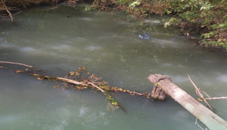 Источник: https://nia.eco/2024/10/22/92214/