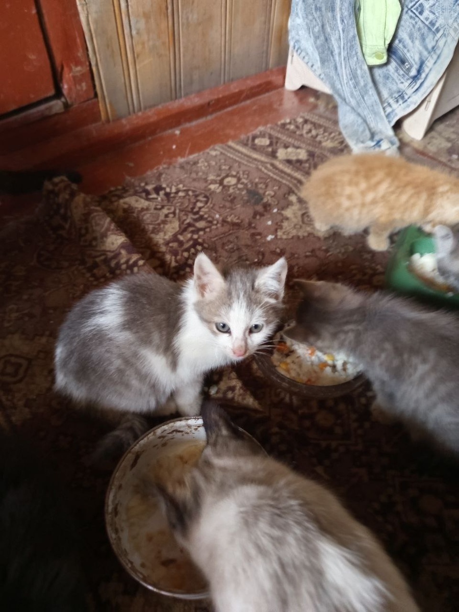 В предбаннике