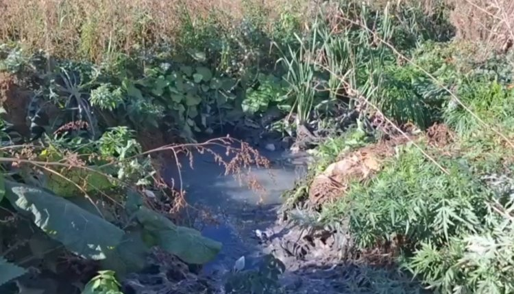 Источник: https://nia.eco/2024/10/25/92405/