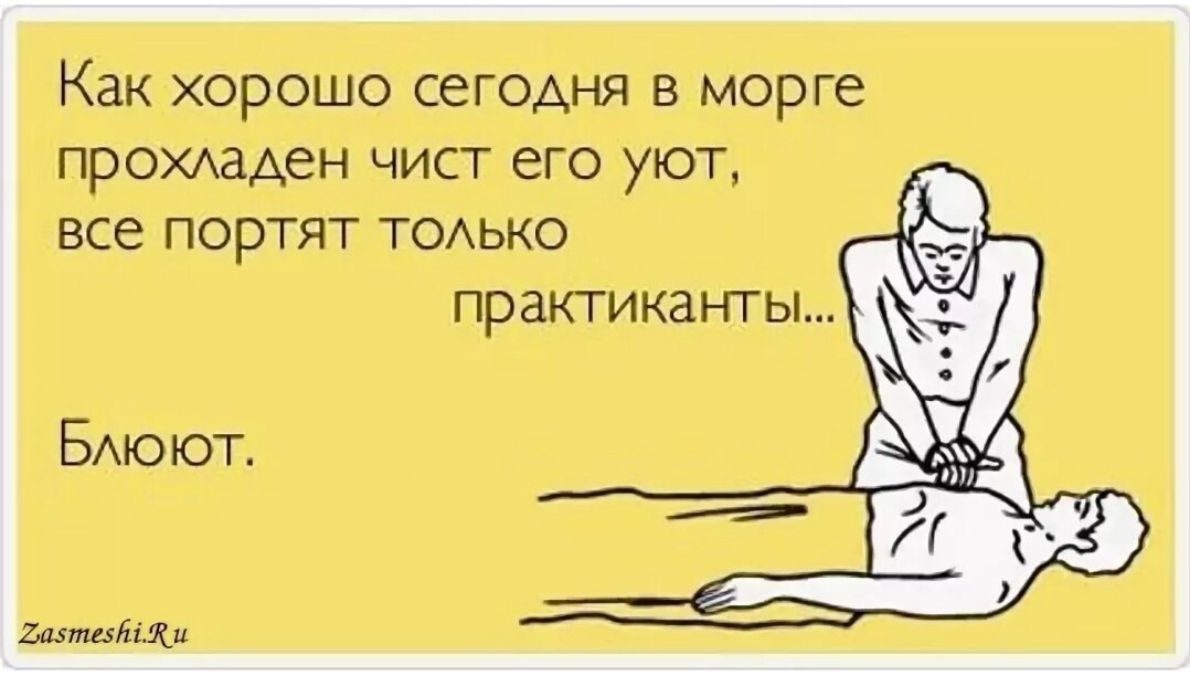 Яндекс картинки