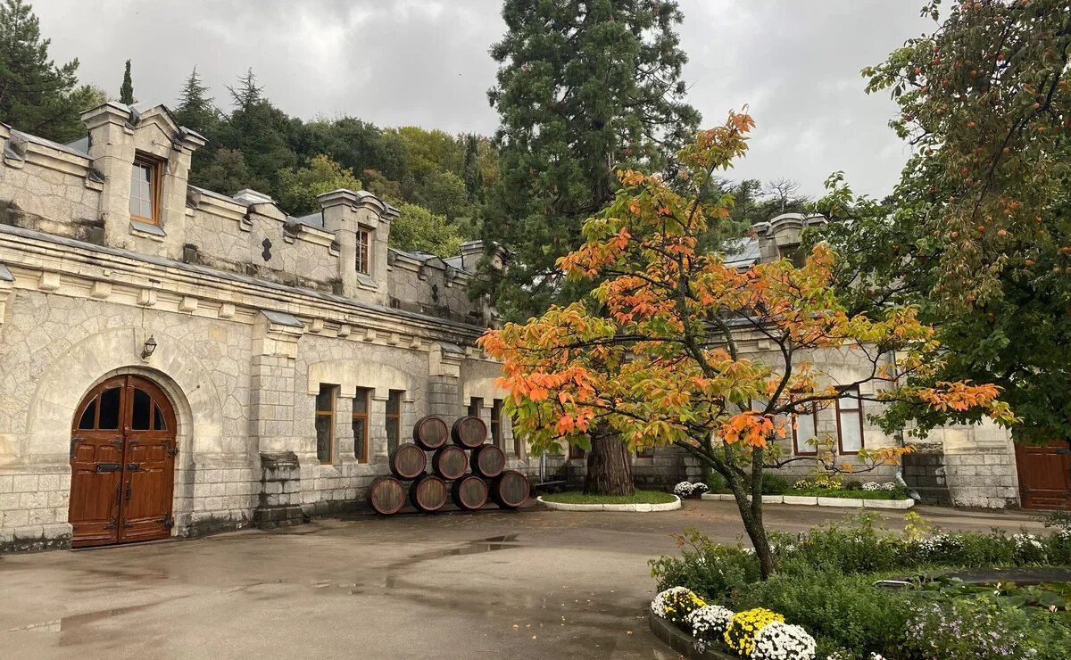    Есть улиток, пить вино, смотреть на звезды и худеть. Рассказываем, что еще делать в Крыму в межсезонье