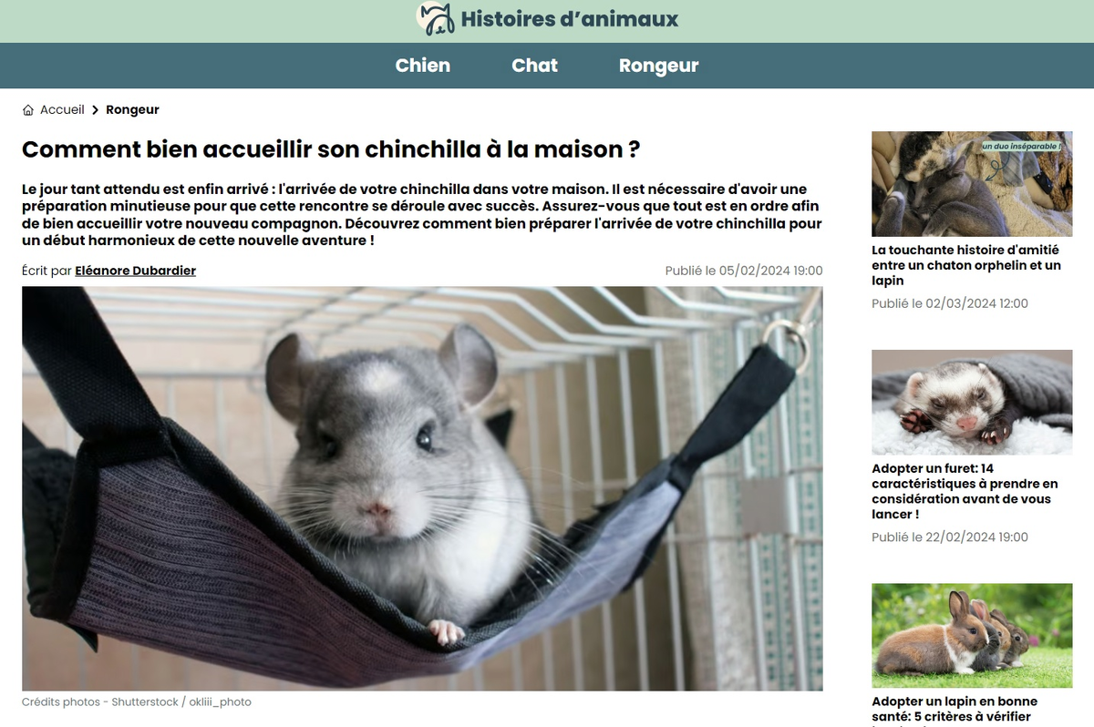 Французы знают толк во вкусных Булках))))