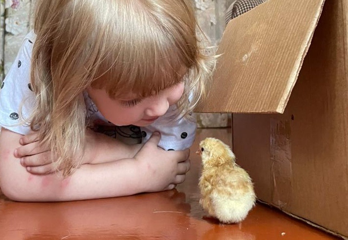 Ну как тебе наш мир? 