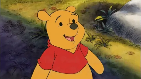 Винни-Пух. Фото из дзен