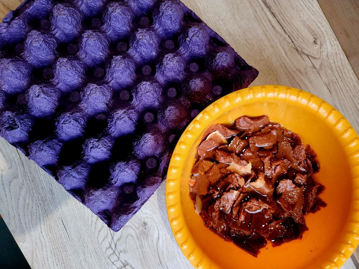 Фото автора. 2024 г.