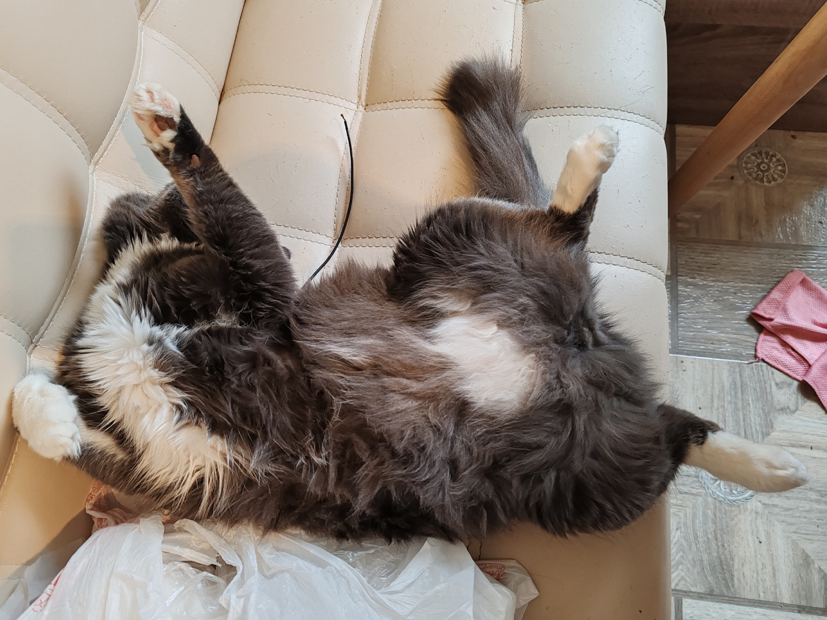 Фото автора канала. 