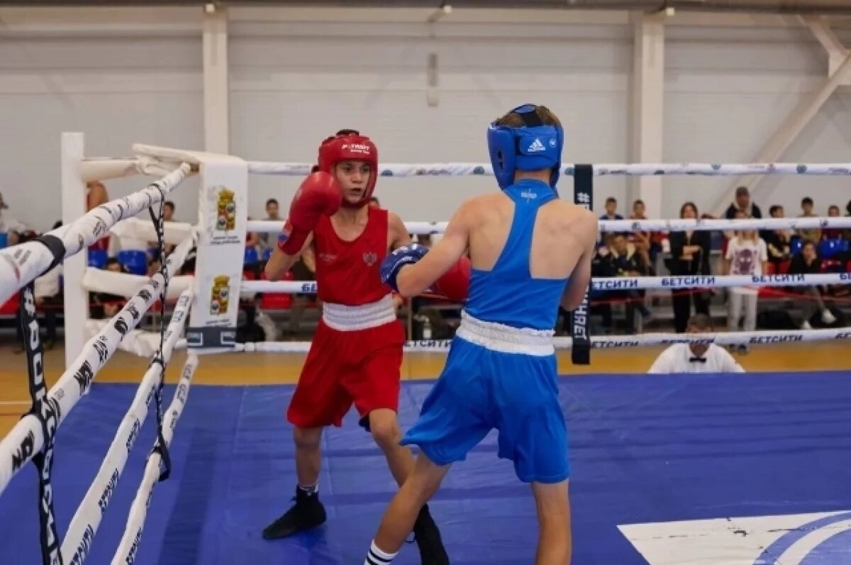    В Тимашевске проходит региональный турнир по боксу