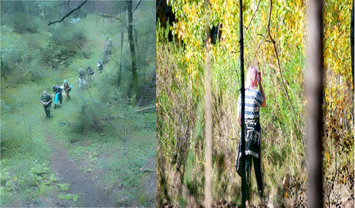 Фото из открытых источников.