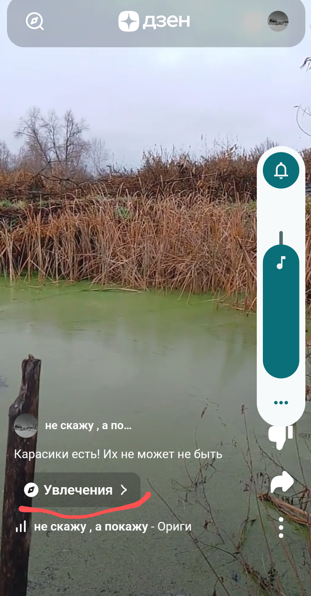 скриншот автора