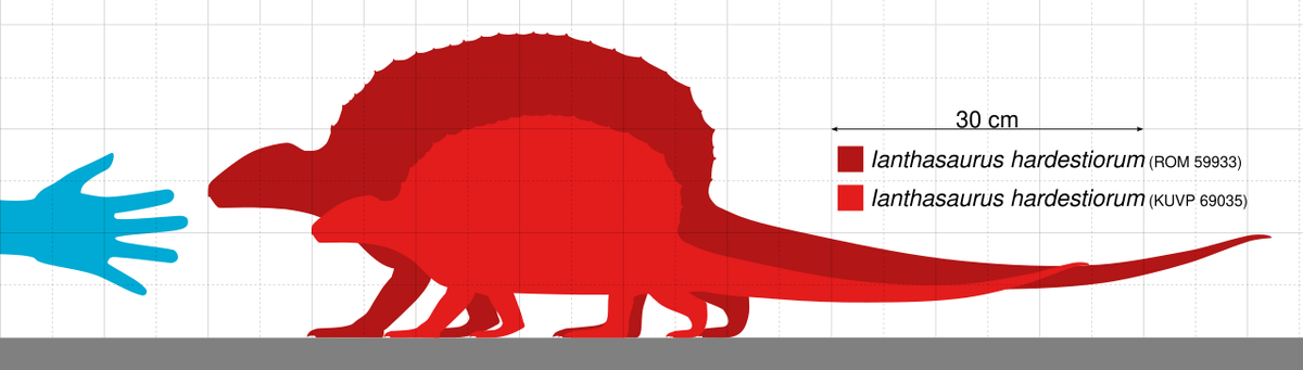 Сравнение размеров иантазавра с человеческой рукой.