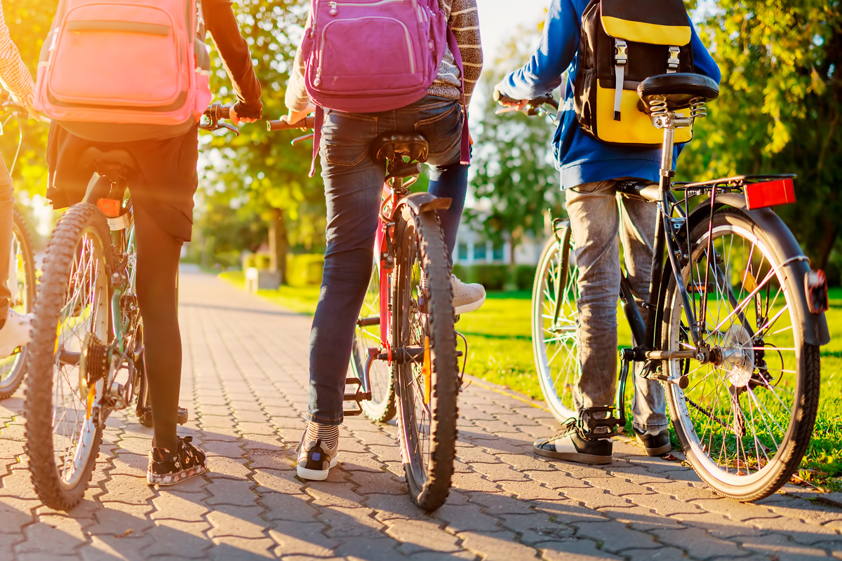    Фото: LeManna / Shutterstock.com