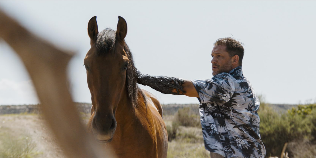 «Веном: Последний танец»