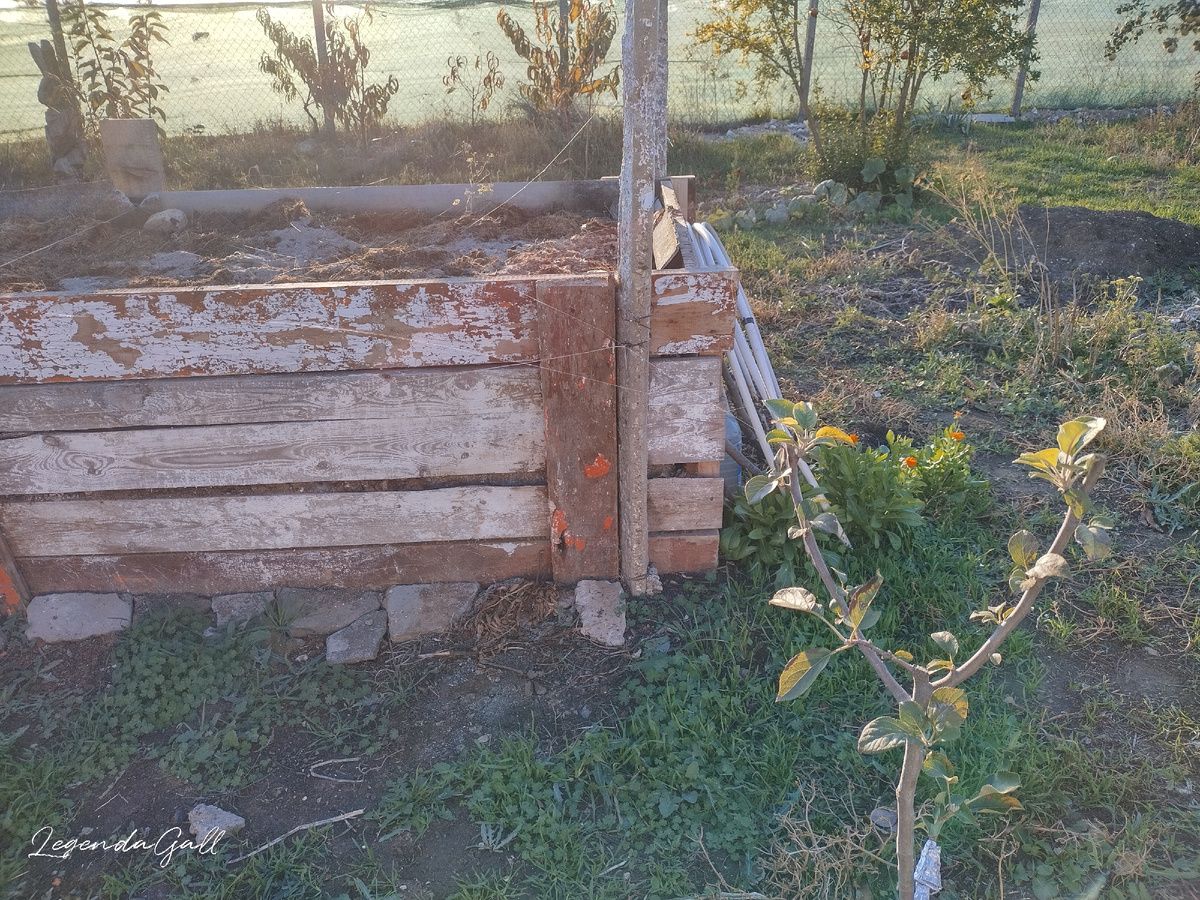 Это я паутину пыталась снять. Её так много и вся на солнце блестит...